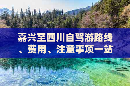 嘉兴至四川自驾游路线、费用、注意事项一站式指南