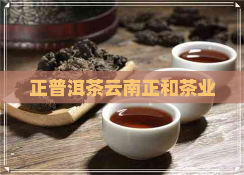 正普洱茶云南正和茶业