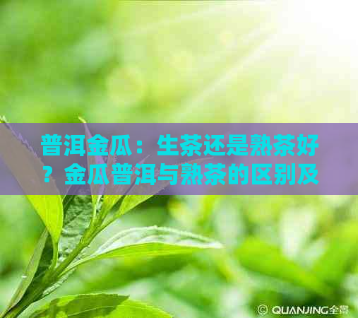 普洱金瓜：生茶还是熟茶好？金瓜普洱与熟茶的区别及评价