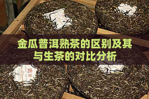 金瓜普洱熟茶的区别及其与生茶的对比分析