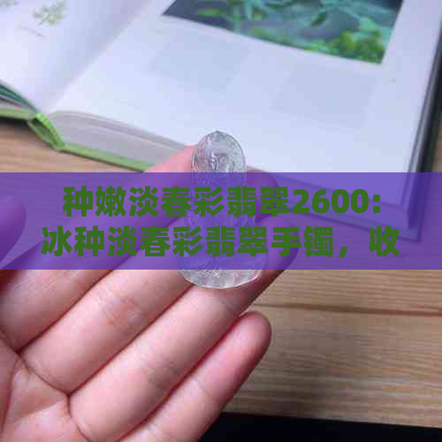 种嫩淡春彩翡翠2600:冰种淡春彩翡翠手镯，收藏价值与浅春彩翡翠镯对比