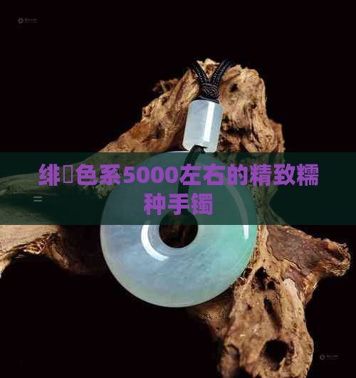 绯色系5000左右的精致糯种手镯