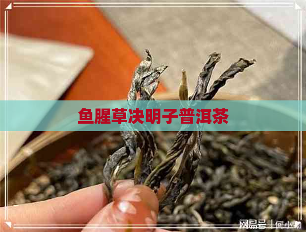 鱼腥草决明子普洱茶