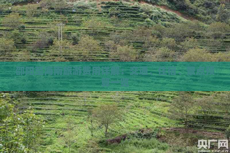 邵阳至海南旅游费用详解：交通、住宿、景点预算一览