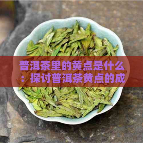 普洱茶里的黄点是什么：探讨普洱茶黄点的成因与种类