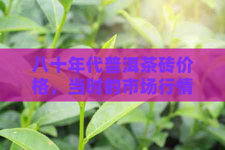 八十年代普洱茶砖价格，当时的市场行情与价值分析