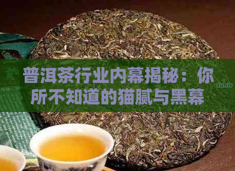 普洱茶行业内幕揭秘：你所不知道的猫腻与黑幕