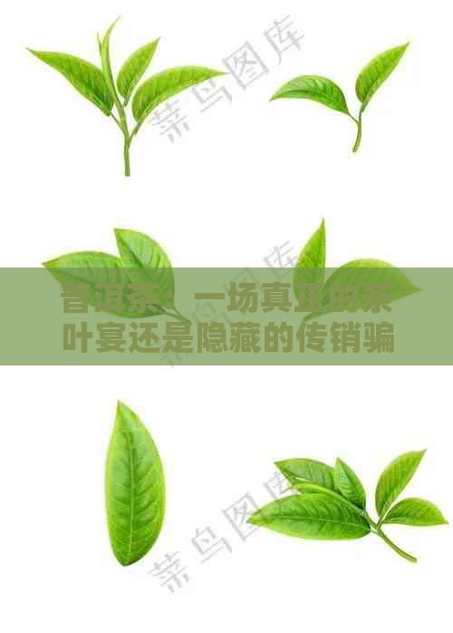 普洱茶：一场真正的茶叶宴还是隐藏的传销骗局？