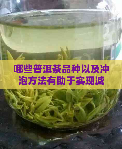 哪些普洱茶品种以及冲泡方法有助于实现减肥效果？