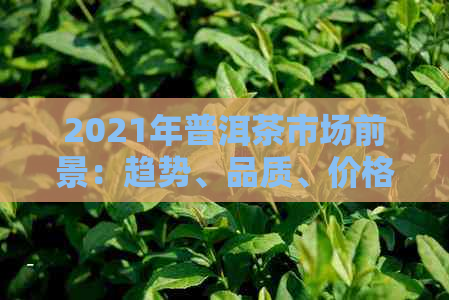 2021年普洱茶市场前景：趋势、品质、价格及投资分析全解析