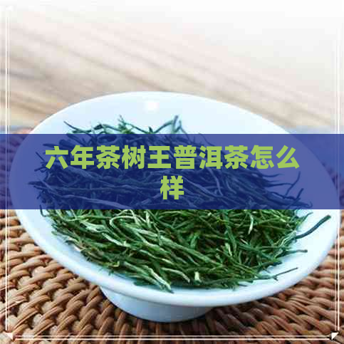 六年茶树王普洱茶怎么样