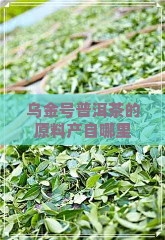 乌金号普洱茶的原料产自哪里