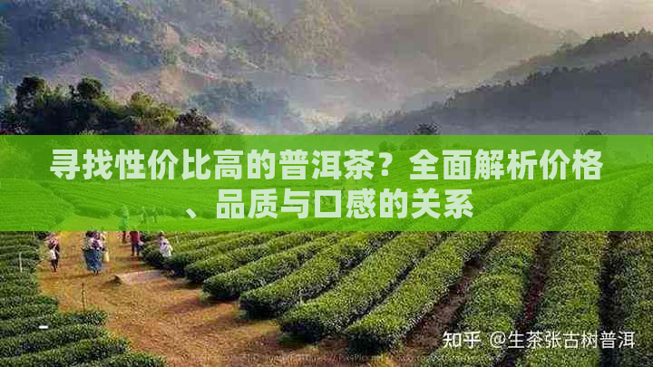 寻找性价比高的普洱茶？全面解析价格、品质与口感的关系