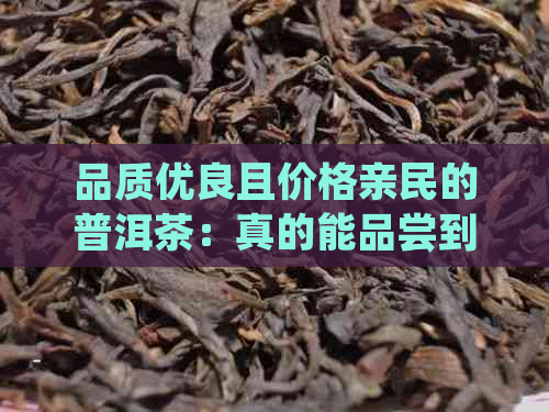 品质优良且价格亲民的普洱茶：真的能品尝到茶叶的深度吗？