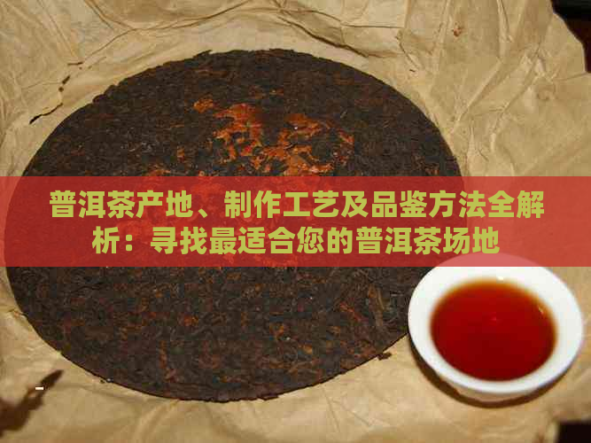 普洱茶产地、制作工艺及品鉴方法全解析：寻找最适合您的普洱茶场地