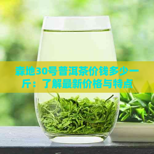 森地30号普洱茶价钱多少一斤：了解最新价格与特点