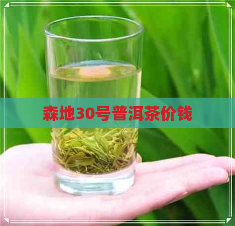 森地30号普洱茶价钱