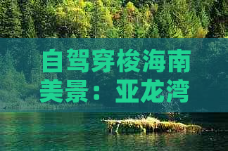 自驾穿梭海南美景：亚龙湾至海口行车时间指南