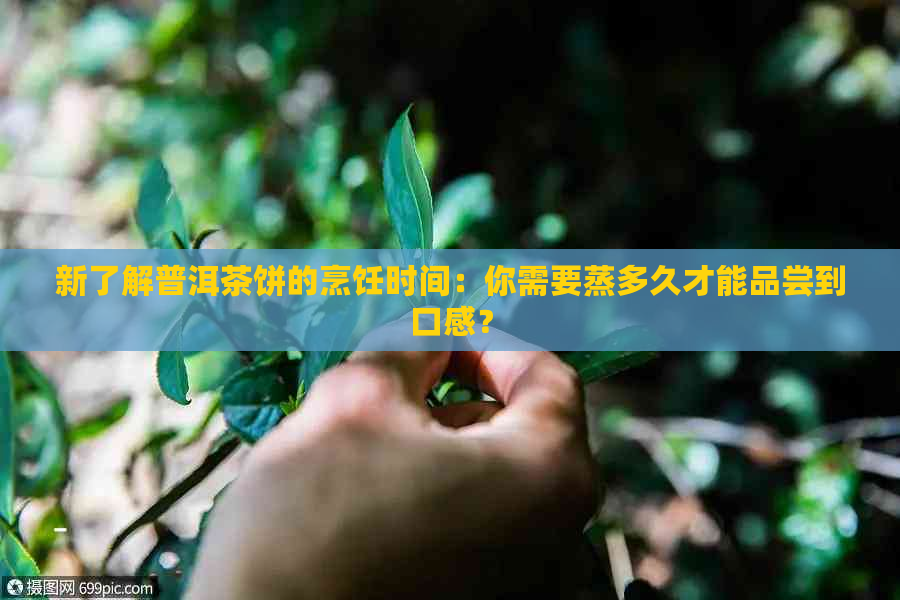 新了解普洱茶饼的烹饪时间：你需要蒸多久才能品尝到口感？