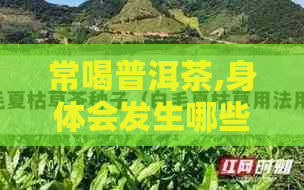 常喝普洱茶,身体会发生哪些变化-常喝普洱茶,身体会发生哪些变化?