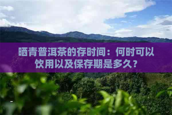 晒青普洱茶的存时间：何时可以饮用以及保存期是多久？