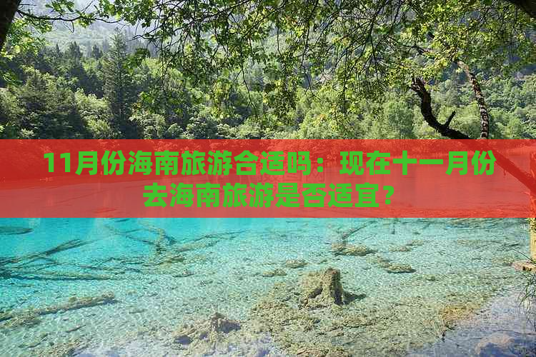 11月份海南旅游合适吗：现在十一月份去海南旅游是否适宜？