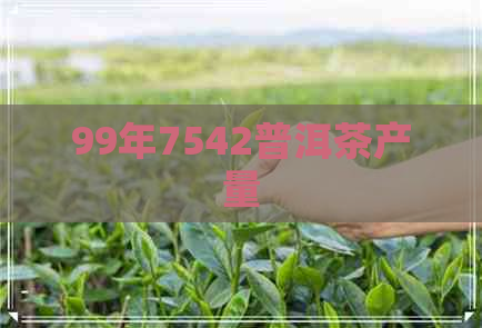 99年7542普洱茶产量