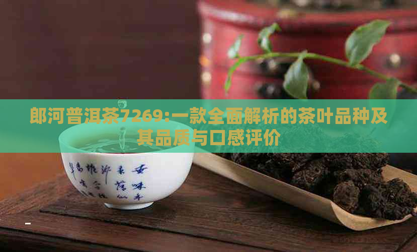 郎河普洱茶7269:一款全面解析的茶叶品种及其品质与口感评价