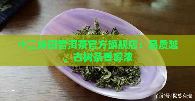 十二块田普洱茶官方旗舰店：品质越，古树茶香醇浓