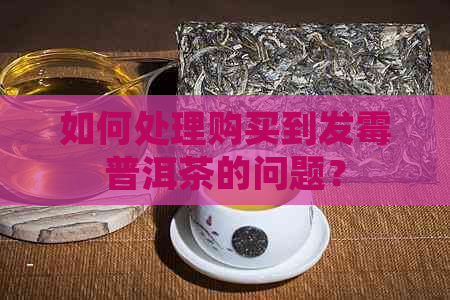 如何处理购买到发霉普洱茶的问题？