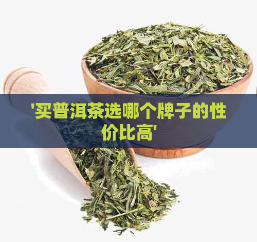 '买普洱茶选哪个牌子的性价比高'