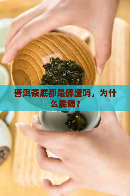 普洱茶底都是碎渣吗，为什么能喝？