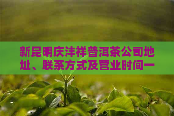 新昆明庆沣祥普洱茶公司地址、联系方式及营业时间一览