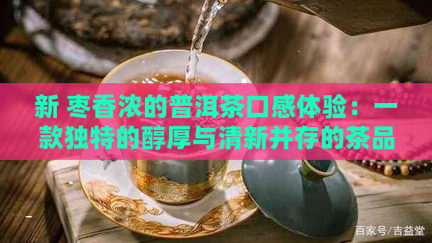 新 枣香浓的普洱茶口感体验：一款独特的醇厚与清新并存的茶品