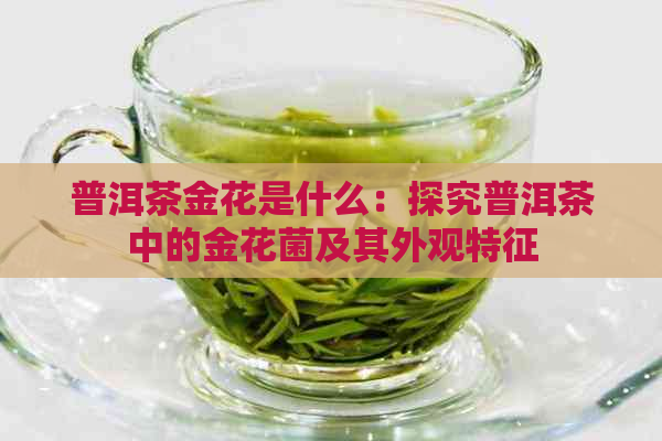 普洱茶金花是什么：探究普洱茶中的金花菌及其外观特征