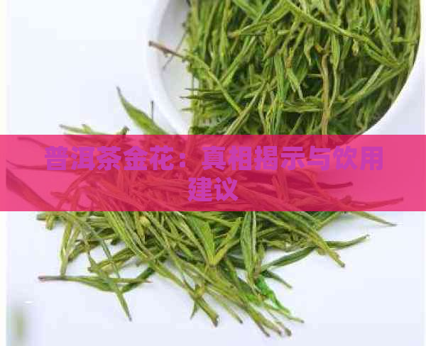 普洱茶金花：真相揭示与饮用建议