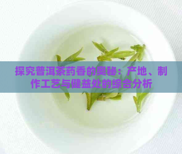 探究普洱茶药香的奥秘：产地、制作工艺与健益处的综合分析