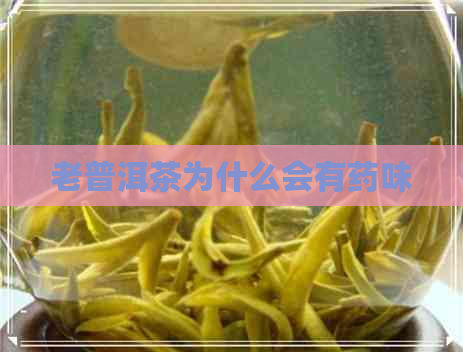 老普洱茶为什么会有药味