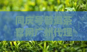 同庆号普洱茶官网广州代理：限量版年份、拍卖价格及广东总代理全解析