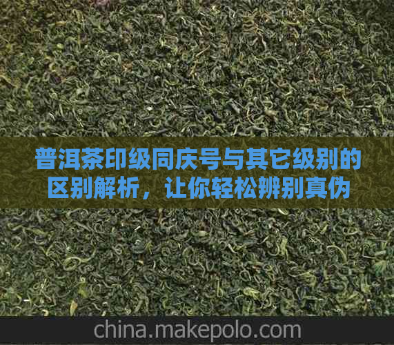 普洱茶印级同庆号与其它级别的区别解析，让你轻松辨别真伪