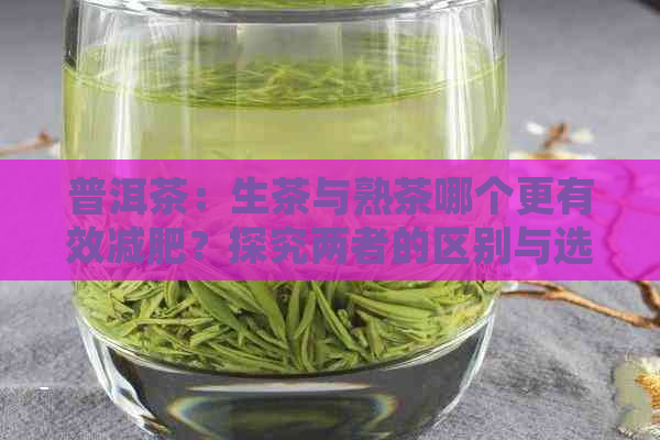 普洱茶：生茶与熟茶哪个更有效减肥？探究两者的区别与选择