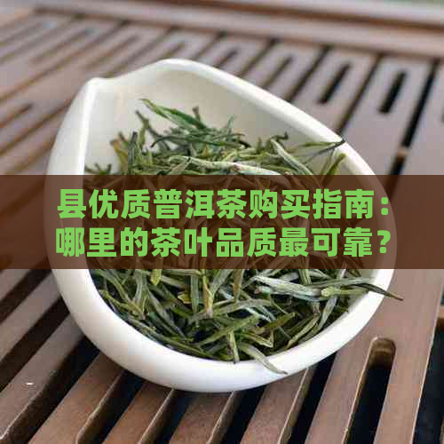 县优质普洱茶购买指南：哪里的茶叶品质最可靠？