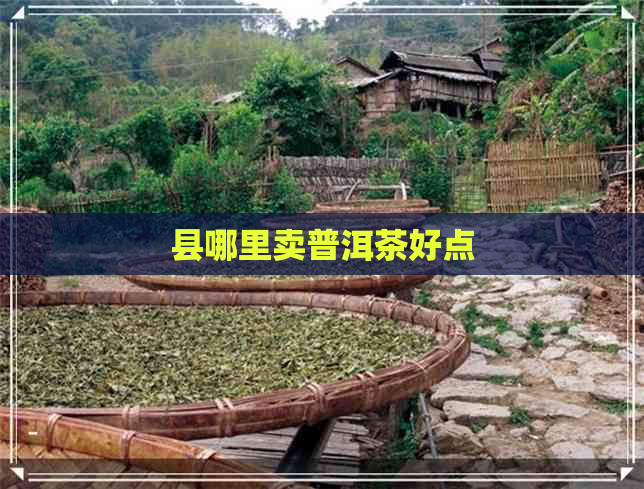 县哪里卖普洱茶好点