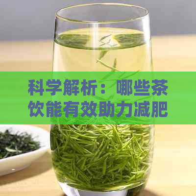 科学解析：哪些茶饮能有效助力减肥与促进肠道健？