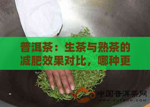 普洱茶：生茶与熟茶的减肥效果对比，哪种更适合你？