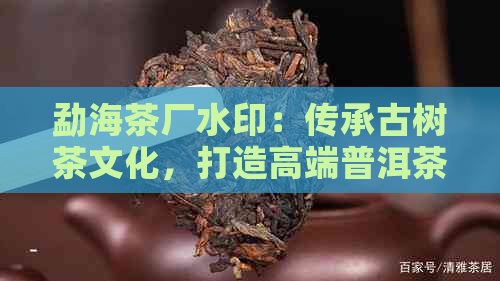 勐海茶厂水印：传承古树茶文化，打造高端普洱茶