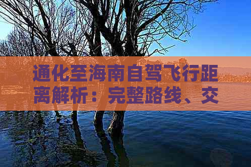 通化至海南自驾飞行距离解析：完整路线、交通方式及预计耗时