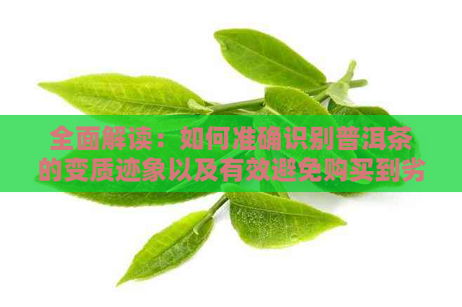 全面解读：如何准确识别普洱茶的变质迹象以及有效避免购买到劣质茶叶