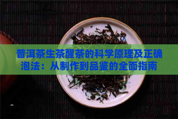 普洱茶生茶醒茶的科学原理及正确泡法：从制作到品鉴的全面指南