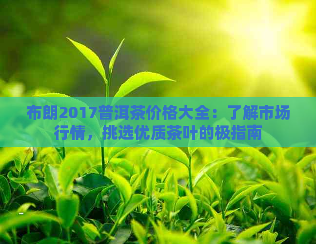 布朗2017普洱茶价格大全：了解市场行情，挑选优质茶叶的极指南